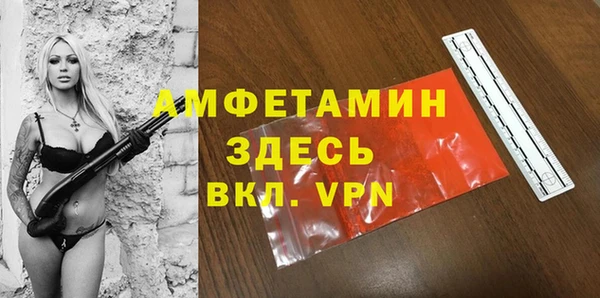 шишки Алзамай