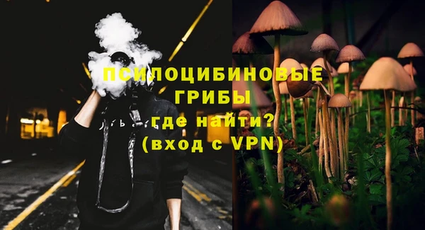 ALPHA PVP Алексин
